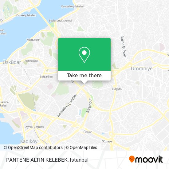 PANTENE ALTIN KELEBEK map