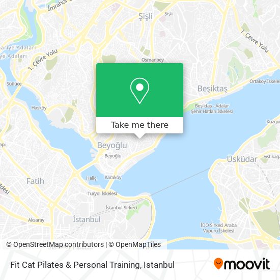 Fit Cat Pilates & Personal Training map