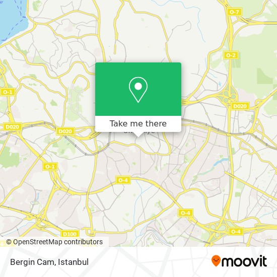 Bergin Cam map