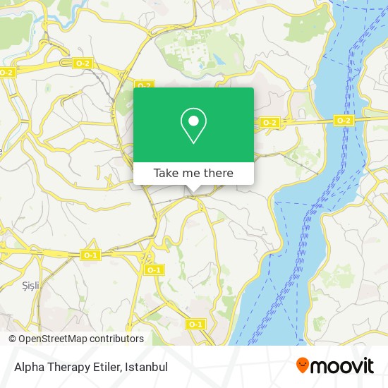 Alpha Therapy Etiler map
