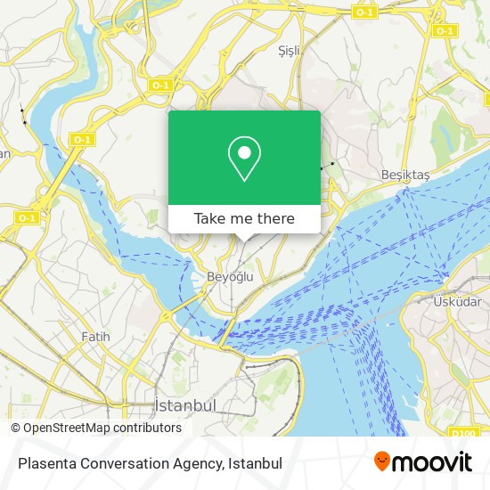 Plasenta Conversation Agency map