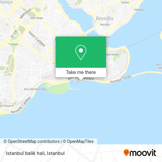 Istanbul balik hali map
