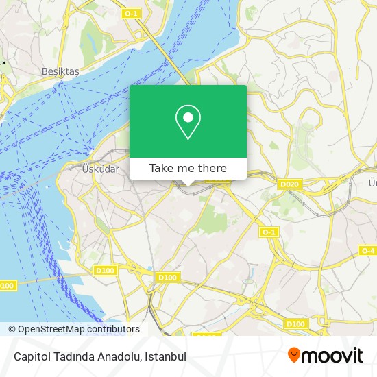 Capitol Tadında Anadolu map