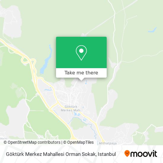 Göktürk Merkez Mahallesi Orman Sokak map
