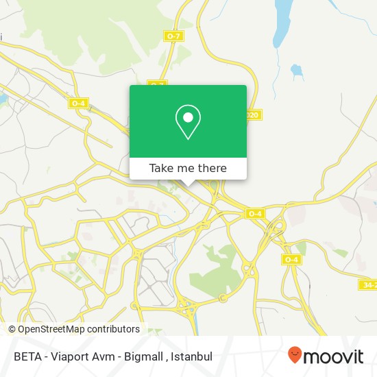 BETA - Viaport Avm - Bigmall map