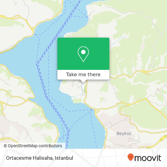 Ortacesme Halisaha map