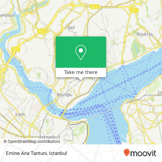 Emine Ana Tantuni map