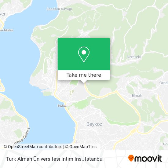 Turk Alman Üniversitesi Intim Ins. map