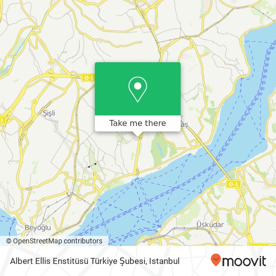 Albert Ellis Enstitüsü Türkiye Şubesi map