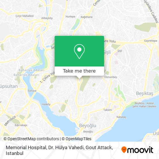 Memorial Hospital, Dr. Hülya Vahedi, Gout Attack map