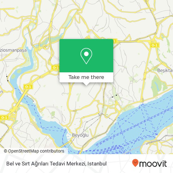 Bel ve Sırt Ağrıları Tedavi Merkezi map