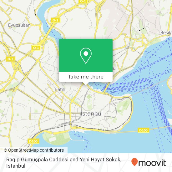 Ragıp Gümüşpala Caddesi and Yeni Hayat Sokak map