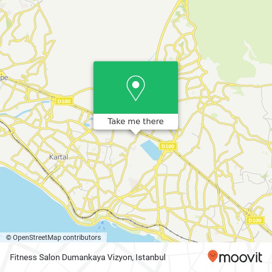 Fitness Salon Dumankaya Vizyon map