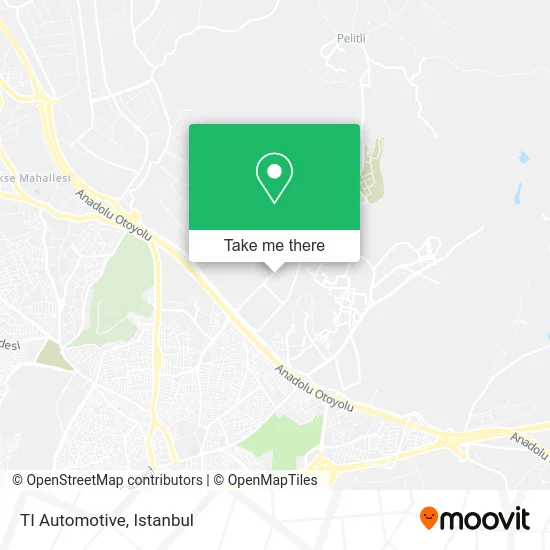TI Automotive map