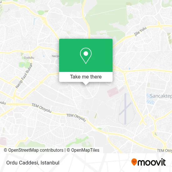 Ordu Caddesi map
