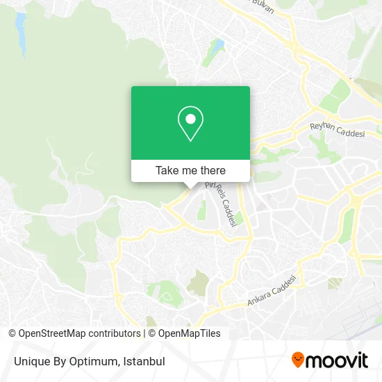 Unique By Optimum map