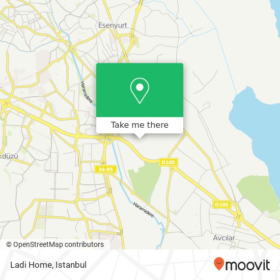 Ladi Home map