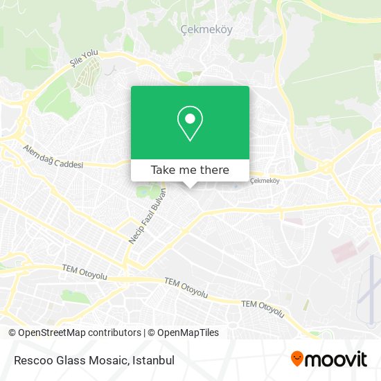 Rescoo Glass Mosaic map