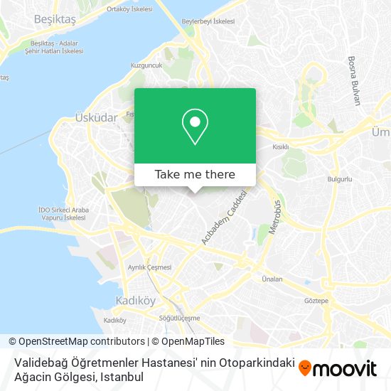 Validebağ Öğretmenler Hastanesi'  nin Otoparkindaki Ağacin Gölgesi map