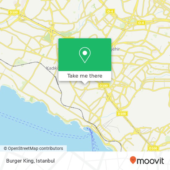 Burger King map