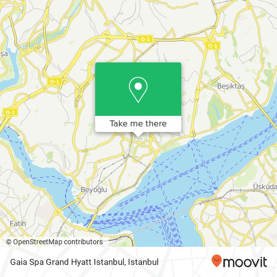 Gaia Spa Grand Hyatt Istanbul map