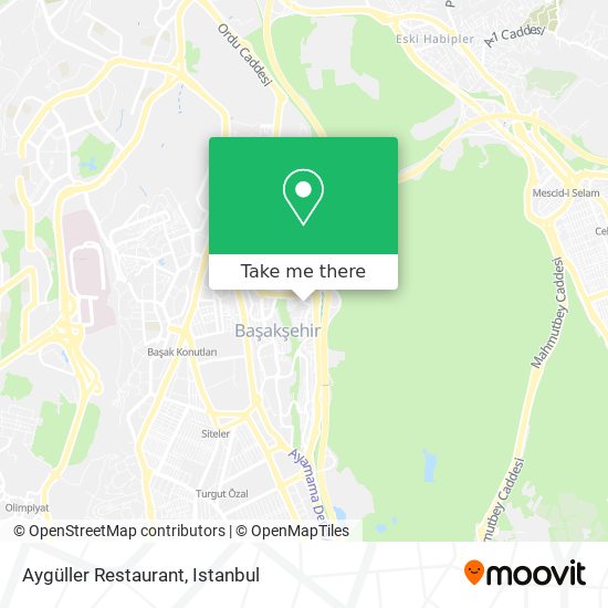 how to get to ayguller restaurant in basaksehir by bus metro or cable car