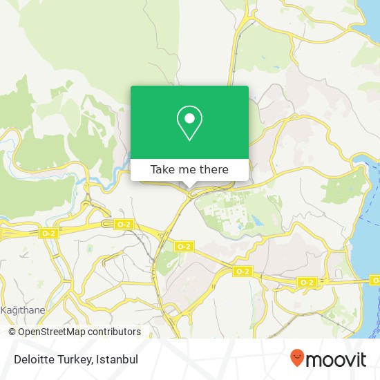 Deloitte Turkey map