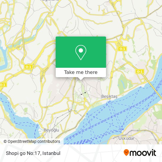 Shopi go No:17 map