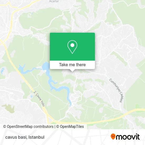 cavus basi map