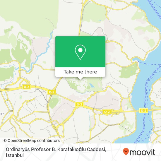 Ordinaryüs Profesör B. Karafakıoğlu Caddesi map