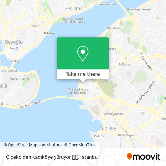 Çiçekciden kadıköye yürüyor 👣👣 map
