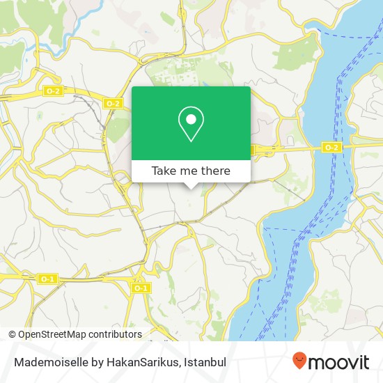 Mademoiselle by HakanSarikus map