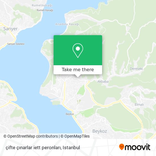 çifte çınarlar iett peronları map