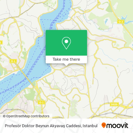 Profesör Doktor Beynun Akyavaş Caddesi map