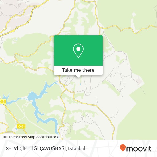 SELVİ ÇİFTLİĞİ ÇAVUŞBAŞI map