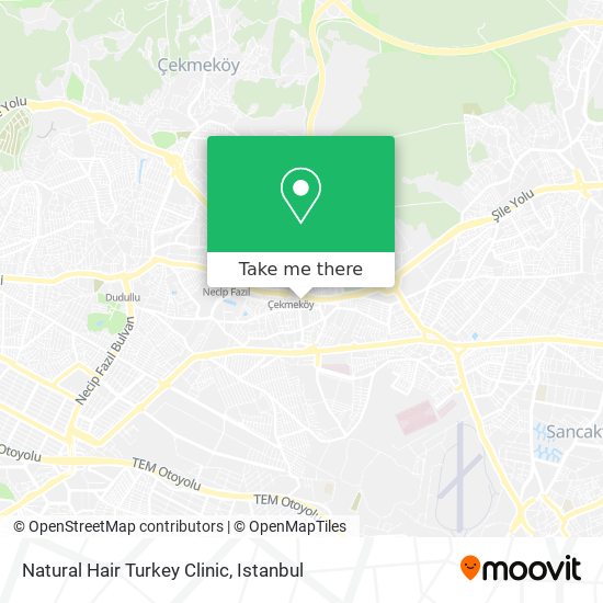 Natural Hair Turkey Clinic map