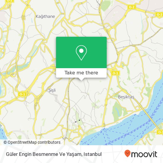 Güler Engin Besmenme Ve Yaşam map