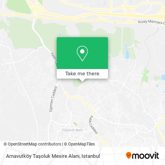 Arnavutköy Taşoluk Mesire Alanı map