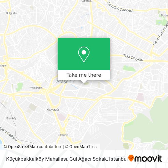 Küçükbakkalköy Mahallesi, Gül Ağacı Sokak map