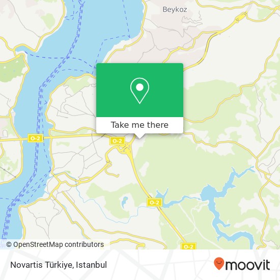 Novartis Türkiye map