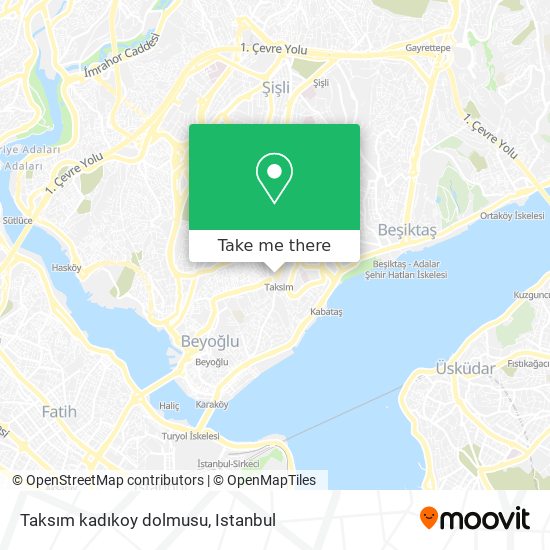 Taksım kadıkoy dolmusu map