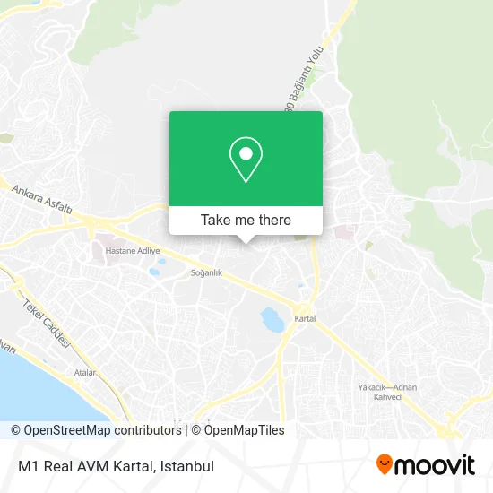 M1 Real AVM Kartal map