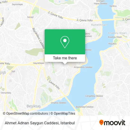 Ahmet Adnan Saygun Caddesi map