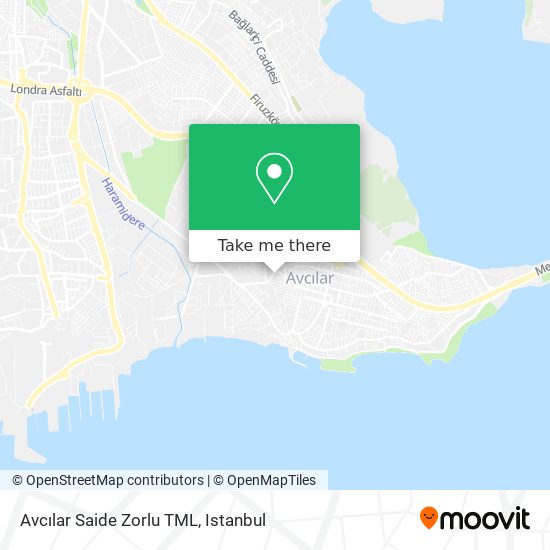 Avcılar Saide Zorlu TML map