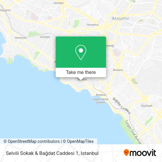 Selvili Sokak & Bağdat Caddesi 1 map