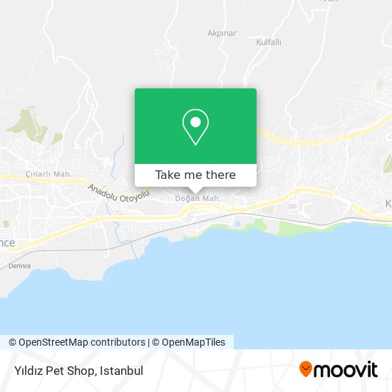 Yıldız Pet Shop map