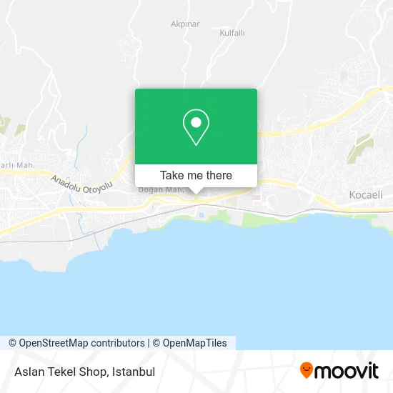 Aslan Tekel Shop map