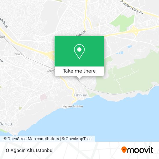 O Ağacın Altı map
