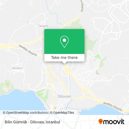 Bilin Gümrük - Dilovası map
