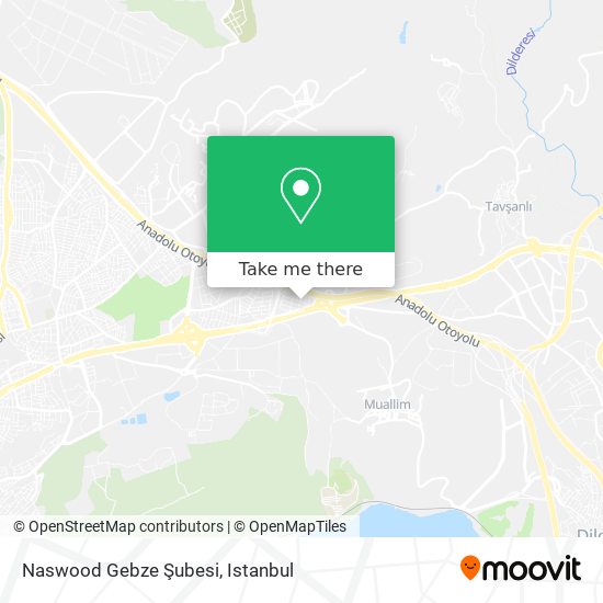Naswood Gebze Şubesi map
